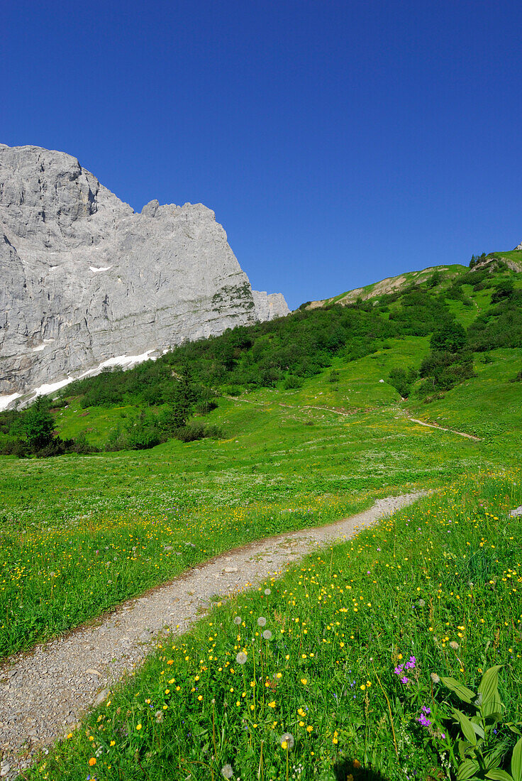 path in alpine pasture leading towards mountain range, Eng, Enger Alm, Karwendel range, Tyrol, Austria
