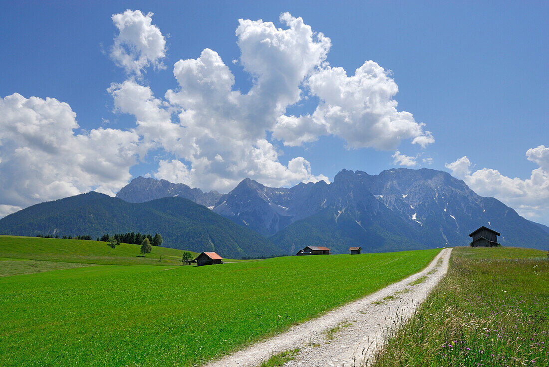wide path in pasture with haystacks leading towards mountain range, Mittenwald, Karwendel range, Upper Bavaria, Bavaria, Germany
