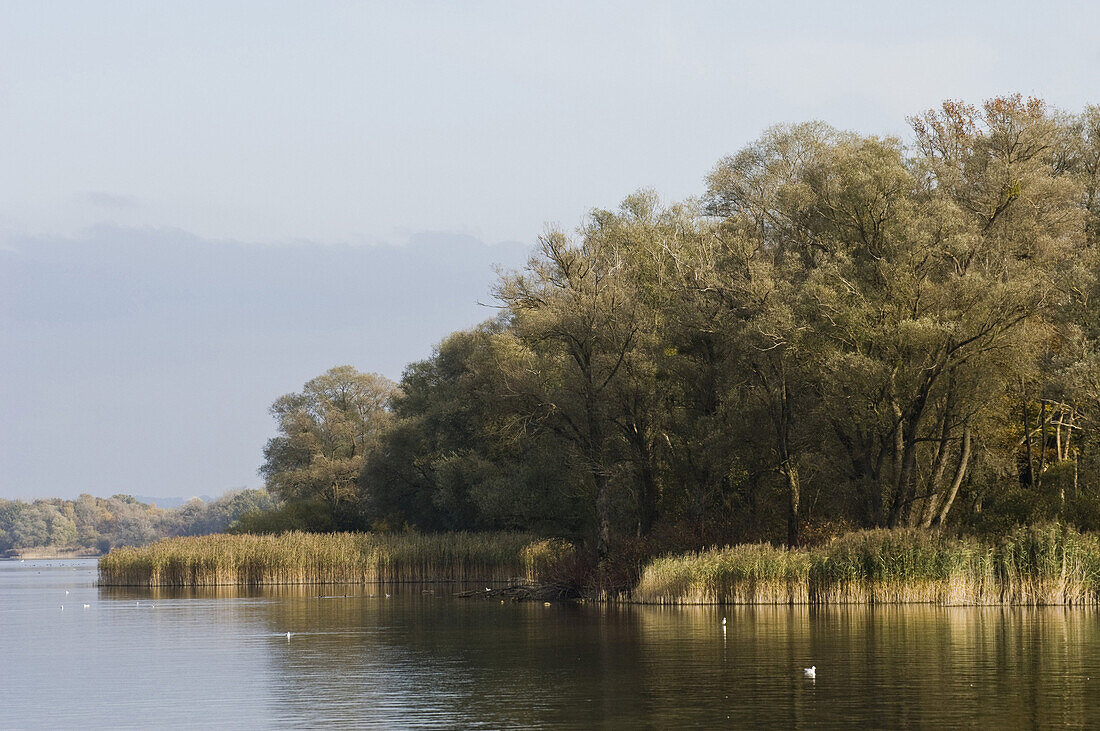 Landschaft am Chiemsee, Bayern, Deutschland