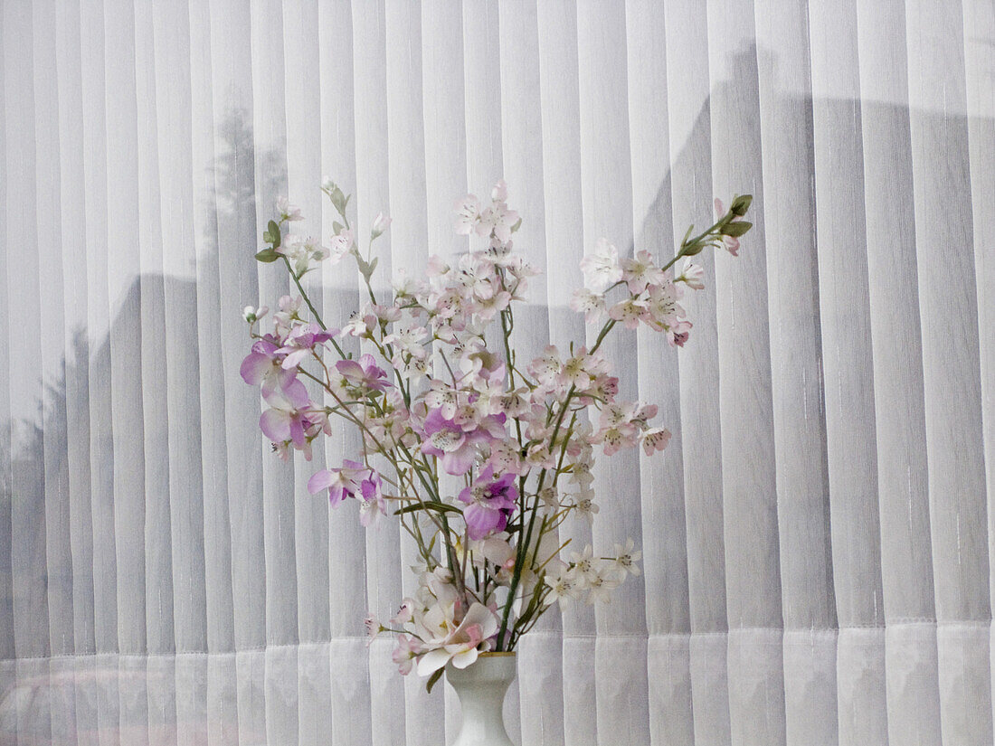 Blumenvase an einem Fenster, Nordrhein-Westfalen, Deutschland