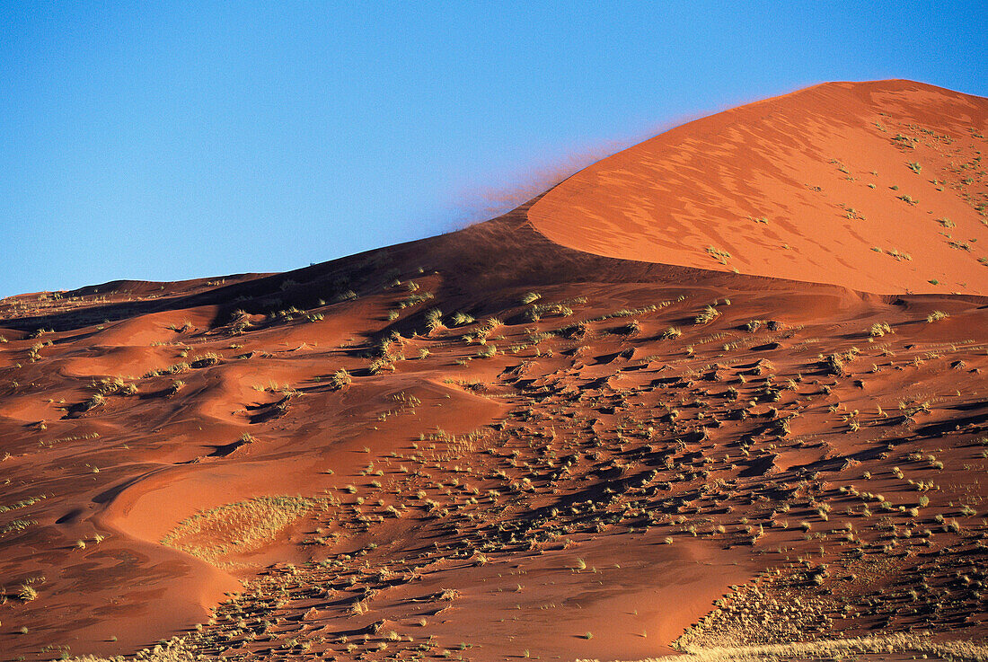 Wind blown sand on dune crest, Namib desert. Namib-Naukluft National Park, Namibia