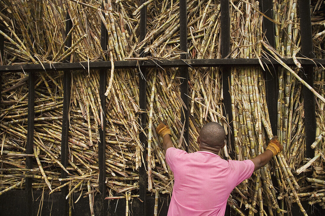Sugar cane factory. La Romana. Dominican Republic.