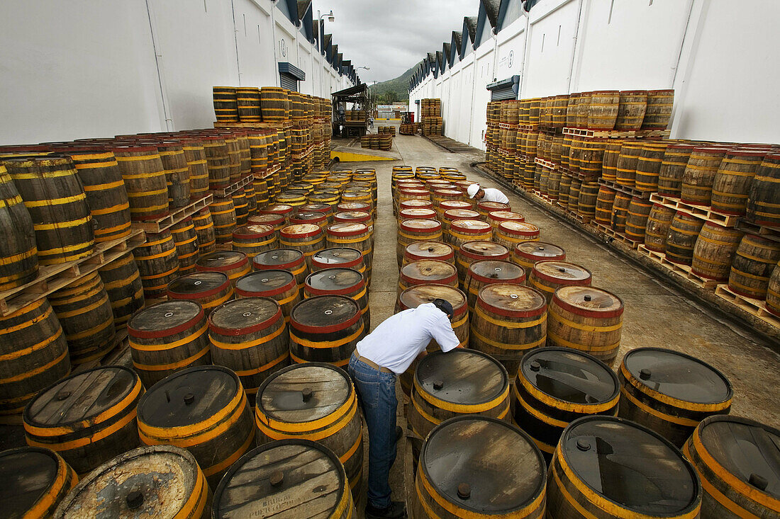 Brugal Rum Factory. Puerto Plata. Dominican Republic.