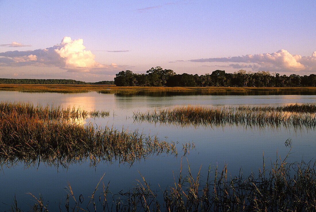 Fall scenicsat Pinckney island. Usa.