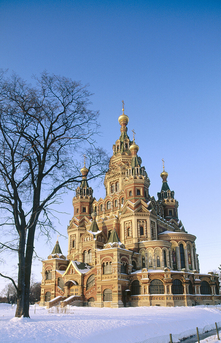 Russia. Near st. Petersburg. Petrodvorets. St. Peter and Paul Cathedral.