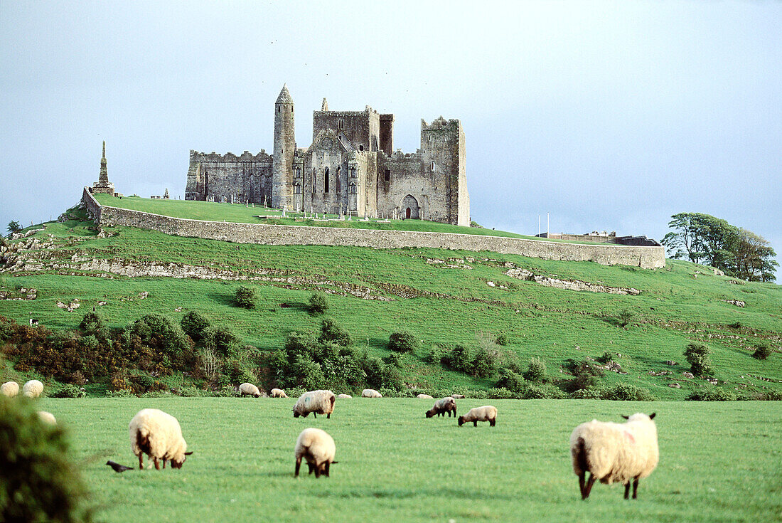 Ireland. County Tipperary. Rock of cashel.