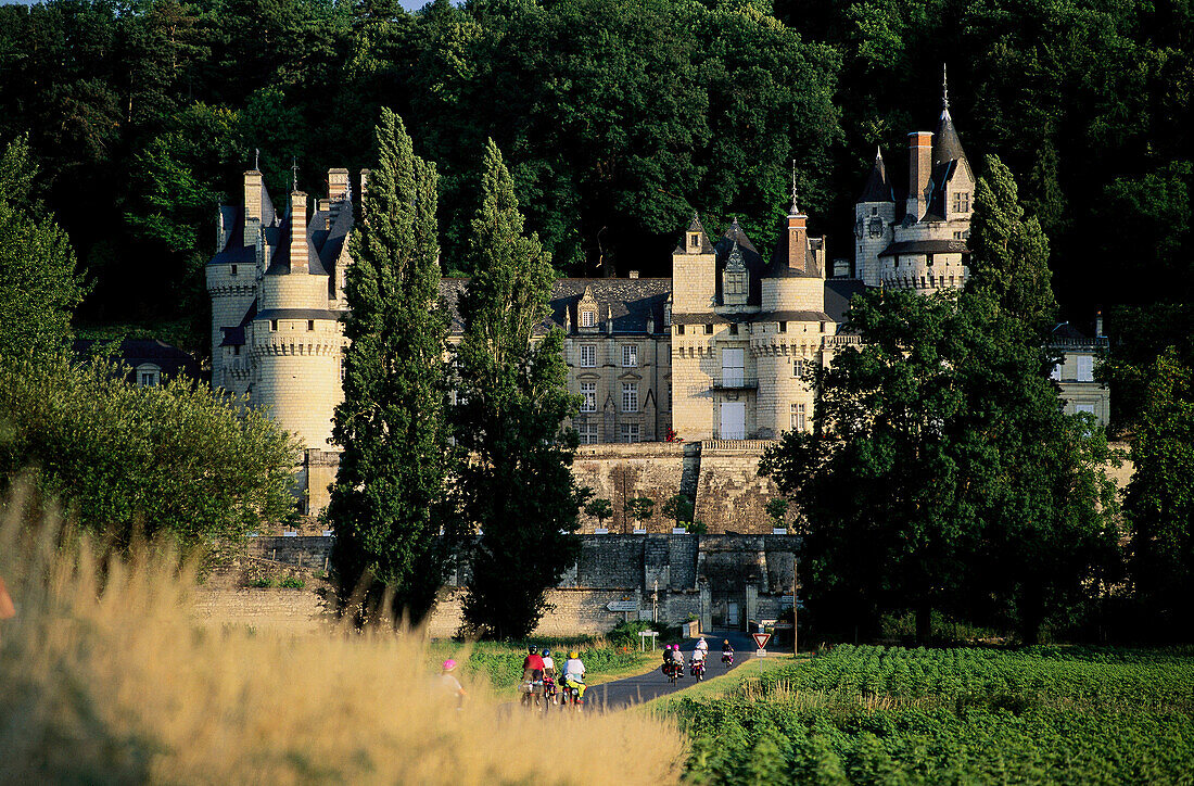 Cyclist and Usse castle. Indre-et-Loire, France