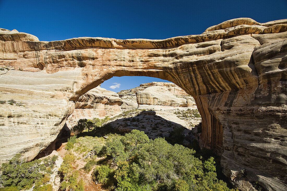Natural Bridges National Monument in Southeastern Utah, USA  Shown here is Sipapu Bridge, the second largest natural bridge in the world  In Hopi mythology a 'Sipapu' was a gateway to the spirit world