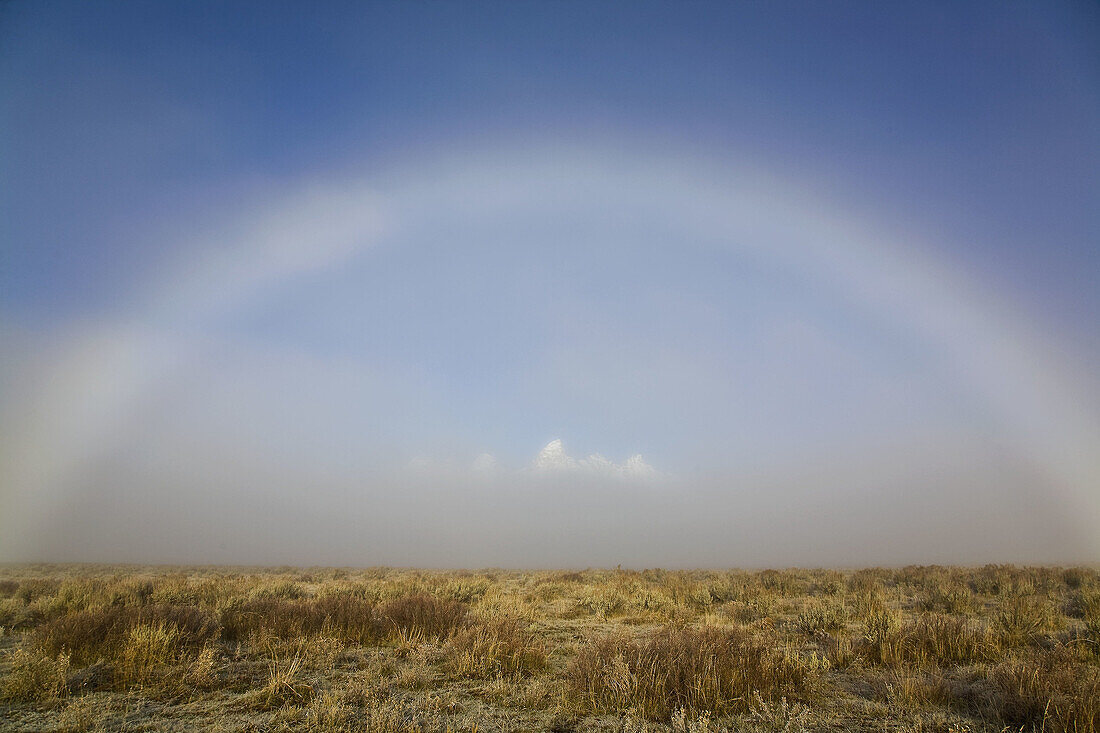 Early morning changing light and fog on the Teton Mountain Range, outside of Jackson Hole, Wyoming  Shown here is a rare fogbow, formed as sunlight hits the fog
