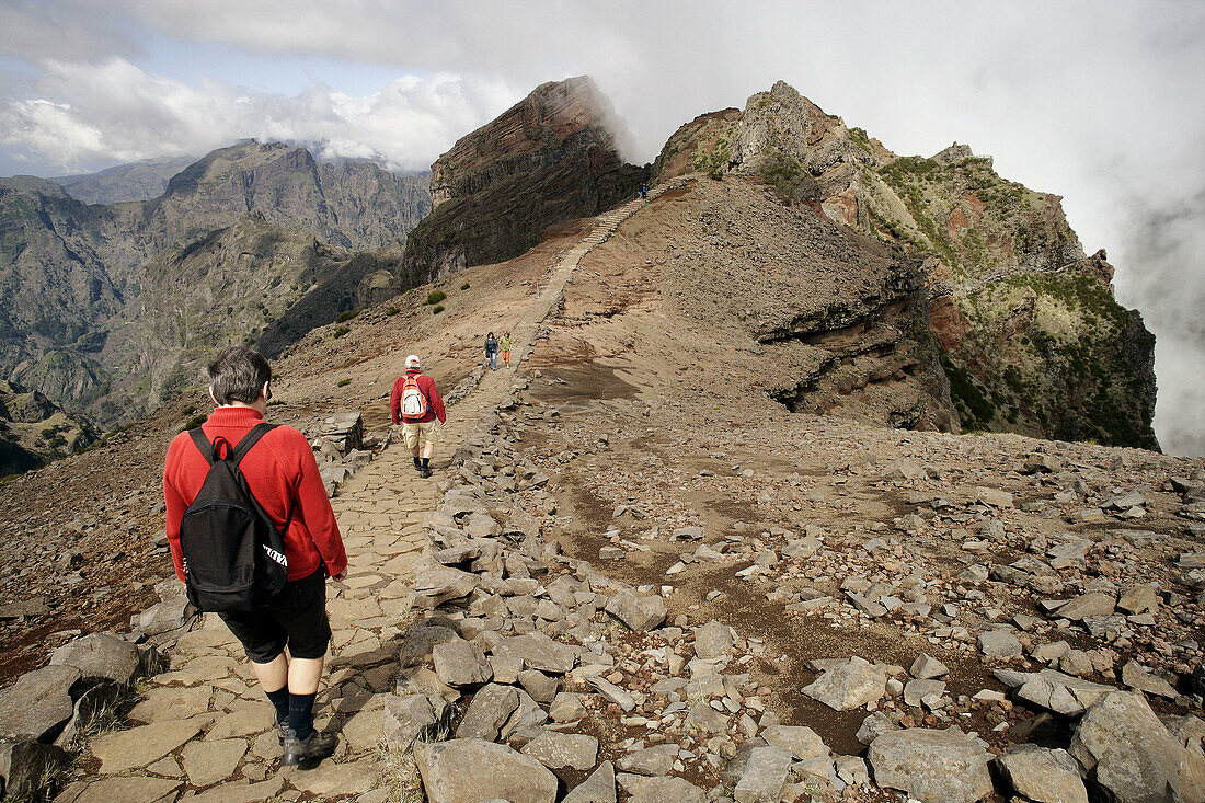 Pico Ruivo. Madeira National Park. Madeira. Portugal