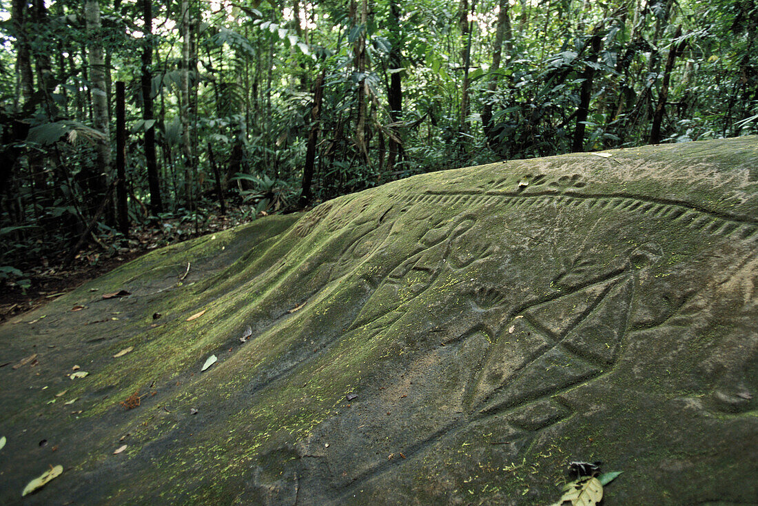 Petroglyphs on a rock at Los Cusingos rainforest reserve. Costa Rica