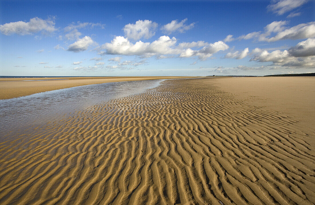 Holkham Beach NNR Norfolk