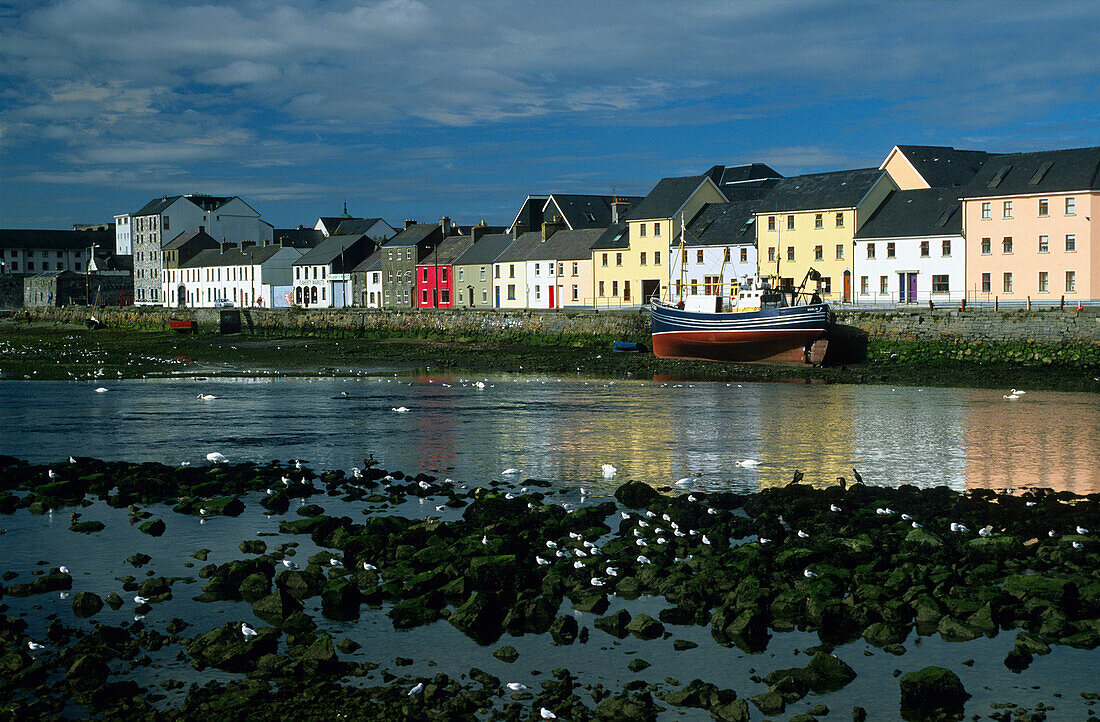 Europa, Großbritannien, Irland, Co. Galway, Galway