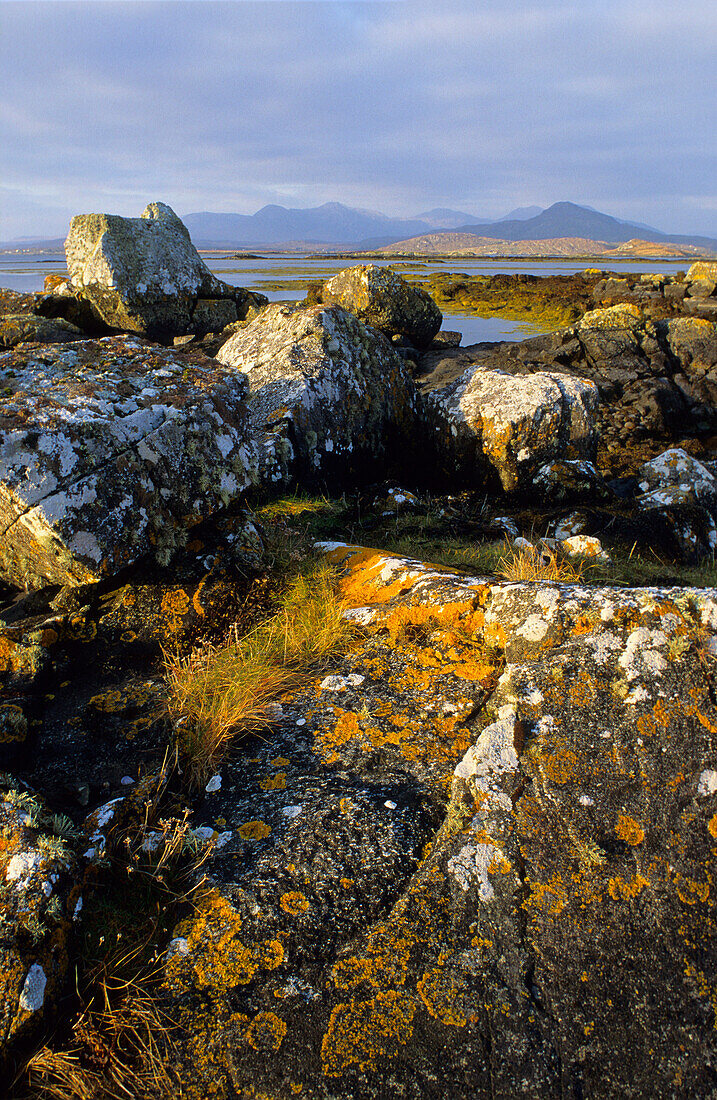 Coastal landscape with rocks and seaweed, Betraghboy Bay, Connemara, Co. Galway, Ireland, Europa