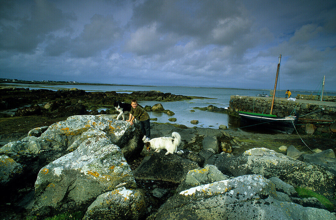 Junge spielt mit Hunden an der Küste von Lettermore, Connemara, Co. Galway, Republik Irland, Europa