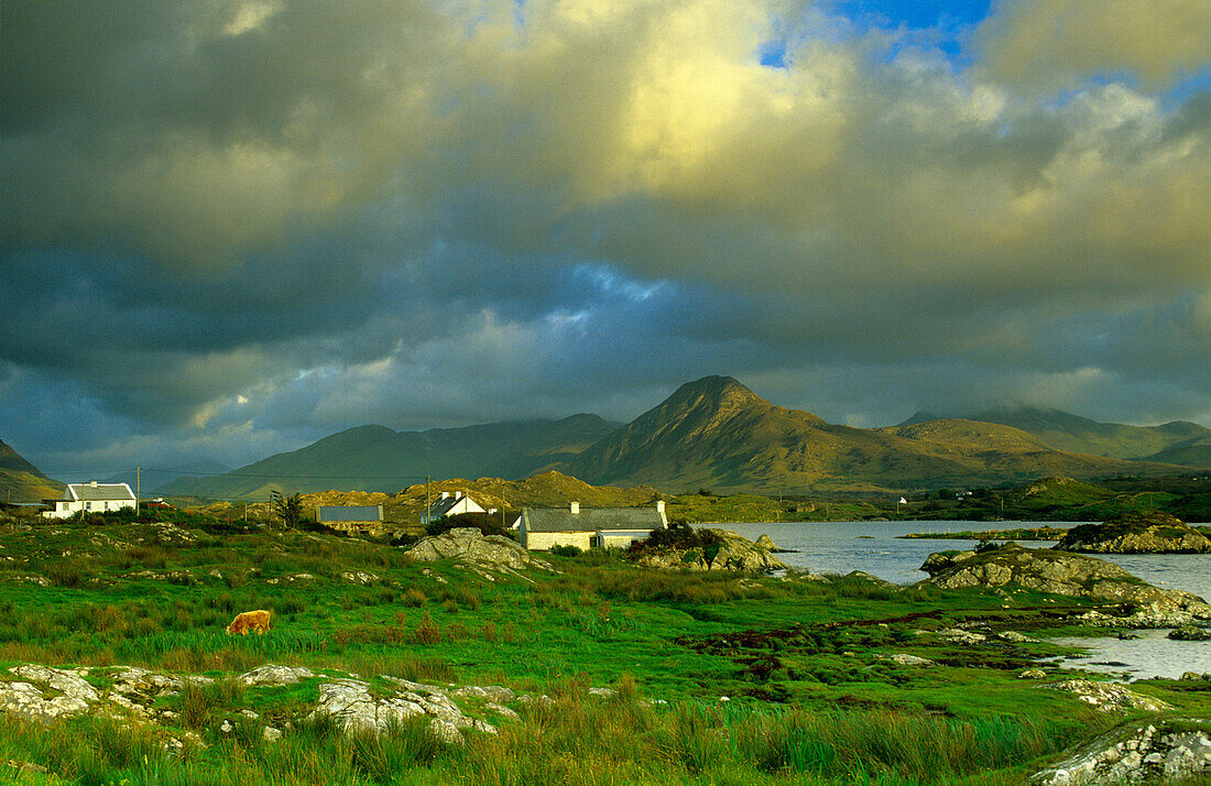 Ballynakill Harbour, Connemara, Co. Galway, Ireland, Europe