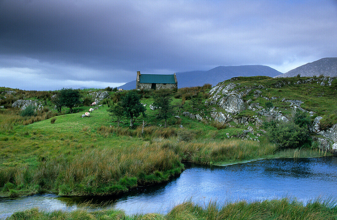 Cottage bei Maam Cross, Connemara, Co. Galway, Republik Irland, Europa
