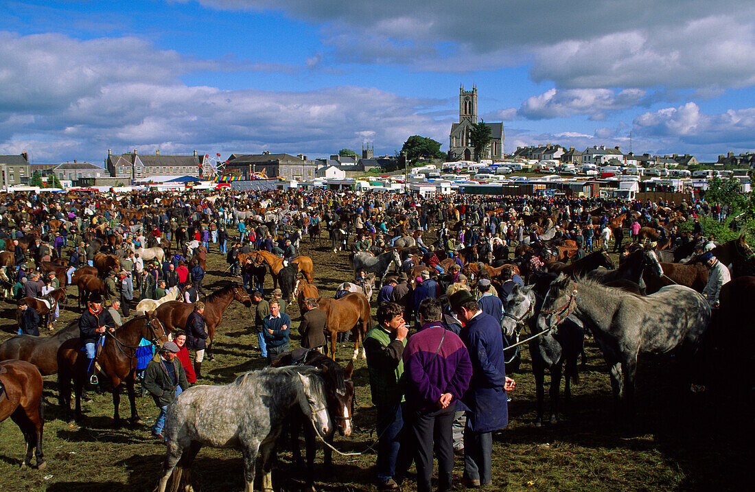 Ballinasloe, der traditionelle Pferdemarkt, Co. Galway, Republik Irland, Europa