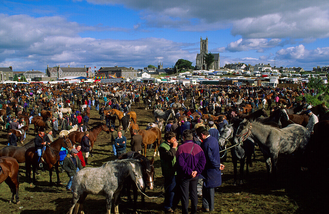 Ballinasloe, the traditional horse fair, County Galway, Ireland, Europe