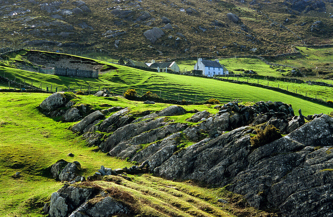 Landschaft mit Bauernhöfe im Ring of Beara, bei Allihies, Co. Cork, Republik Irland, Europa