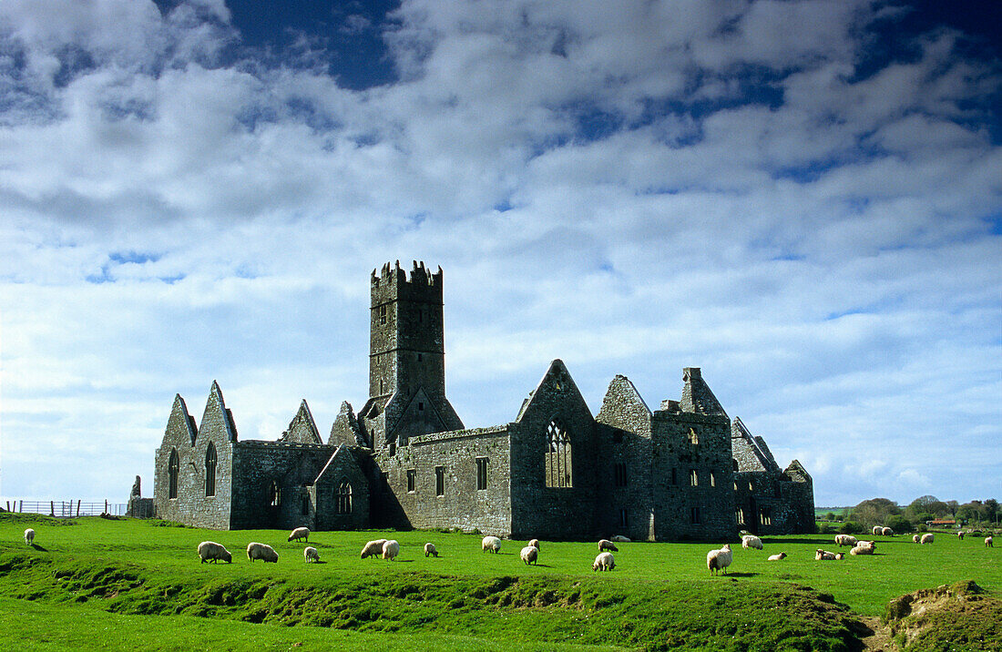 Ruins of Ross Abbey near Headford, Connemara, County Galway, Ireland, Europe