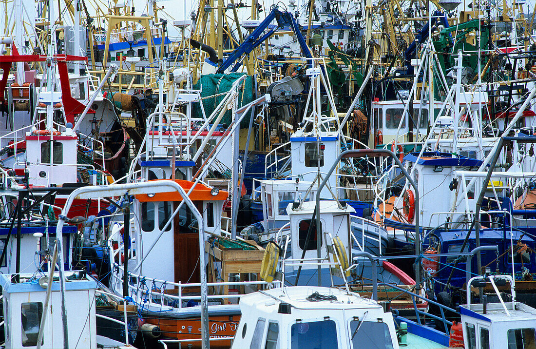Blick auf viele Fischerboote im Hafen von Greencastle, County Donegal, Irland, Europa