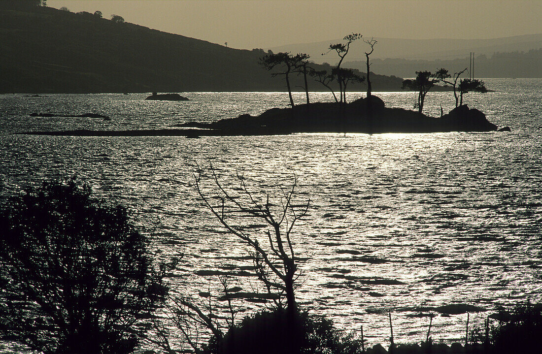 Little island and coast area at Camus Bay, Connemara, County Galway, Ireland, Europe