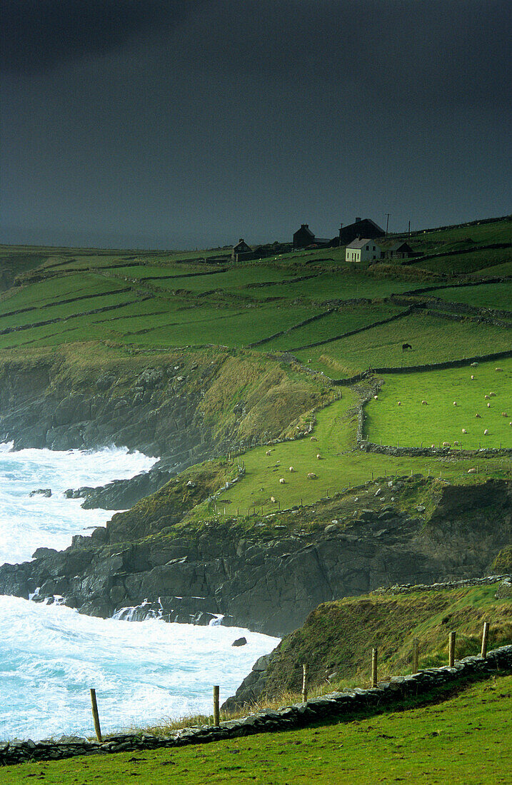 Coastline and houses under dark clouds on the peninsula Dingle, County Kerry, Ireland, Europe