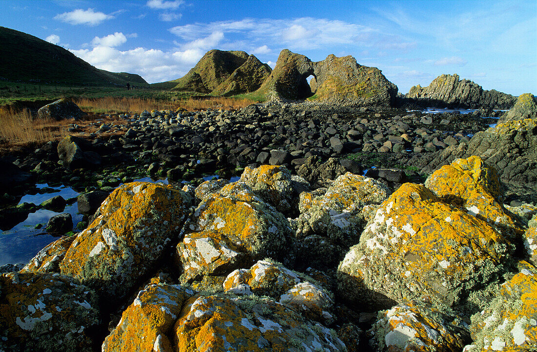 Felsen an der Küste im Sonnenlicht, County Antrim, Irland, Europa