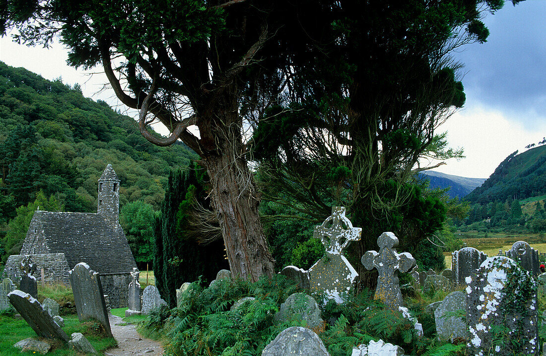 Alte Kirche mit Friedhof unter Bäumen, Glendalough, Wicklow Mountains, County Wicklow, Irland, Europa