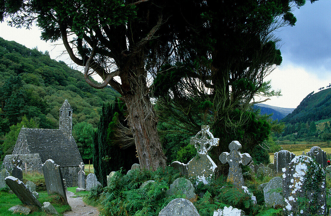 Old church and graveyard under some trees, Glendalough, Wicklow Mountains, County Wicklow, Ireland, Europe