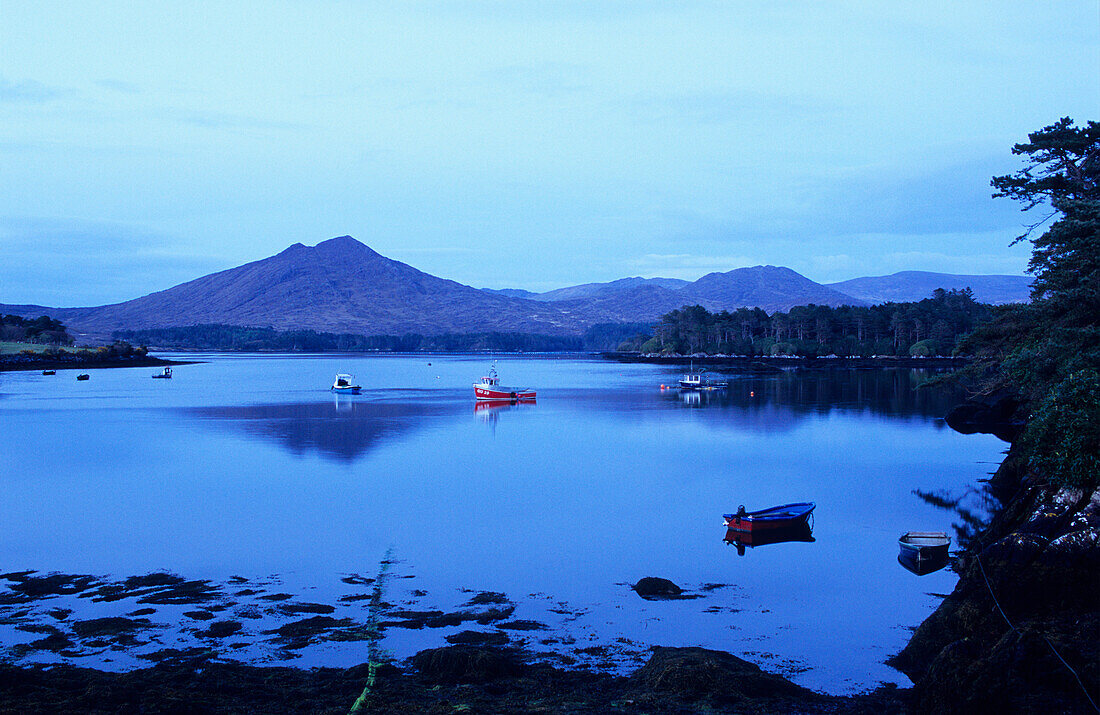 Fischerboote vor der Küste am Abend, Ring of Beara, Beara Halbinsel, County Kerry, Irland, Europa