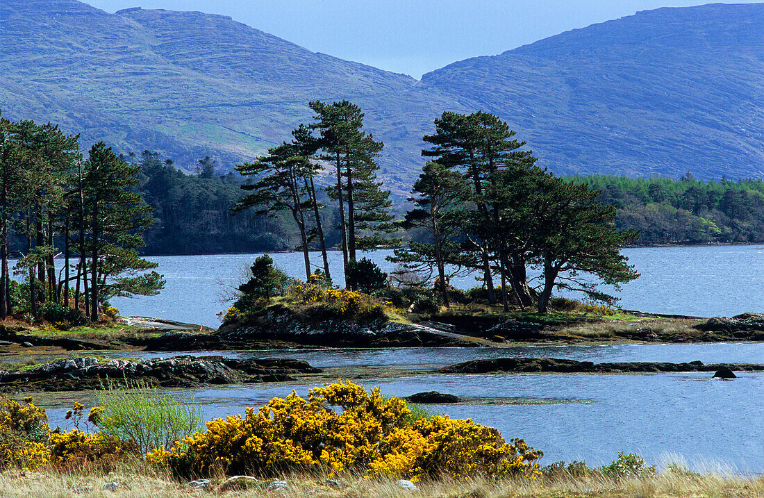 Idyllische Flusslandschaft am Kenmare River, Beara Halbinsel, County Kerry, Irland, Europa
