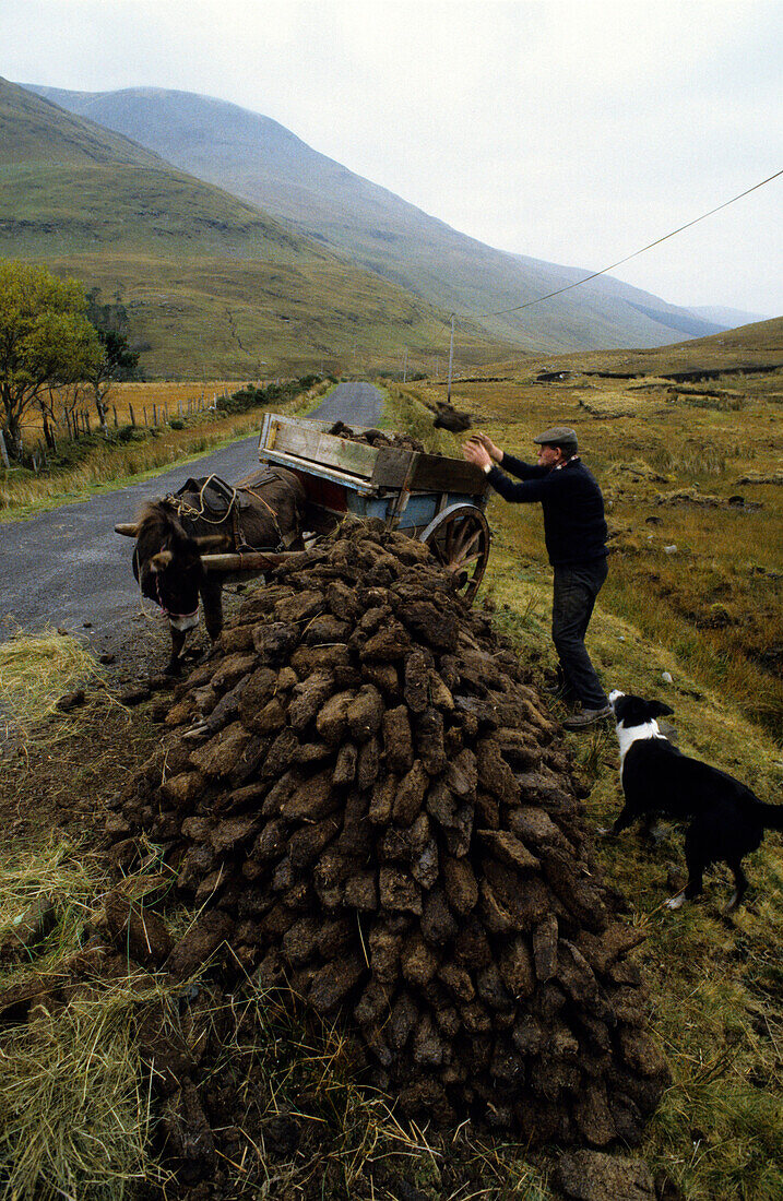 A farmer with a donkey cart peat cutting, Doo Lough Pass, County Mayo, Ireland, Europe