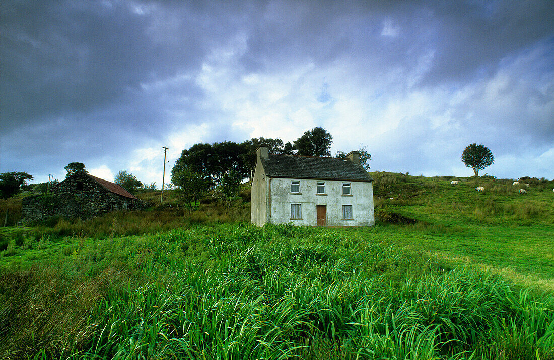 Altes Cottage auf grüner Wiese, County Mayo, Irland, Europa