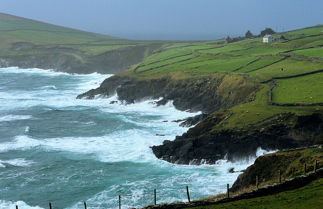 Surge in front of peninsula Dingle on a rainy day, County Kerry, Ireland, Europe