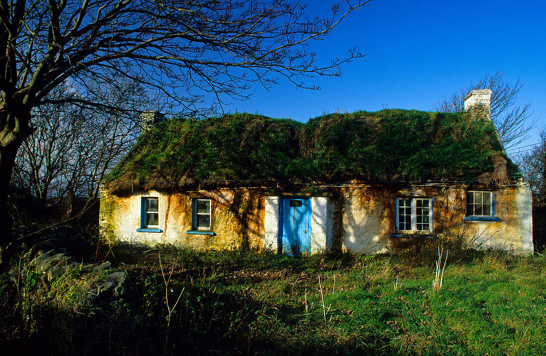 Cottage mit Grasdach, Halbinsel Inishowen, County Donegal, Irland, Europa