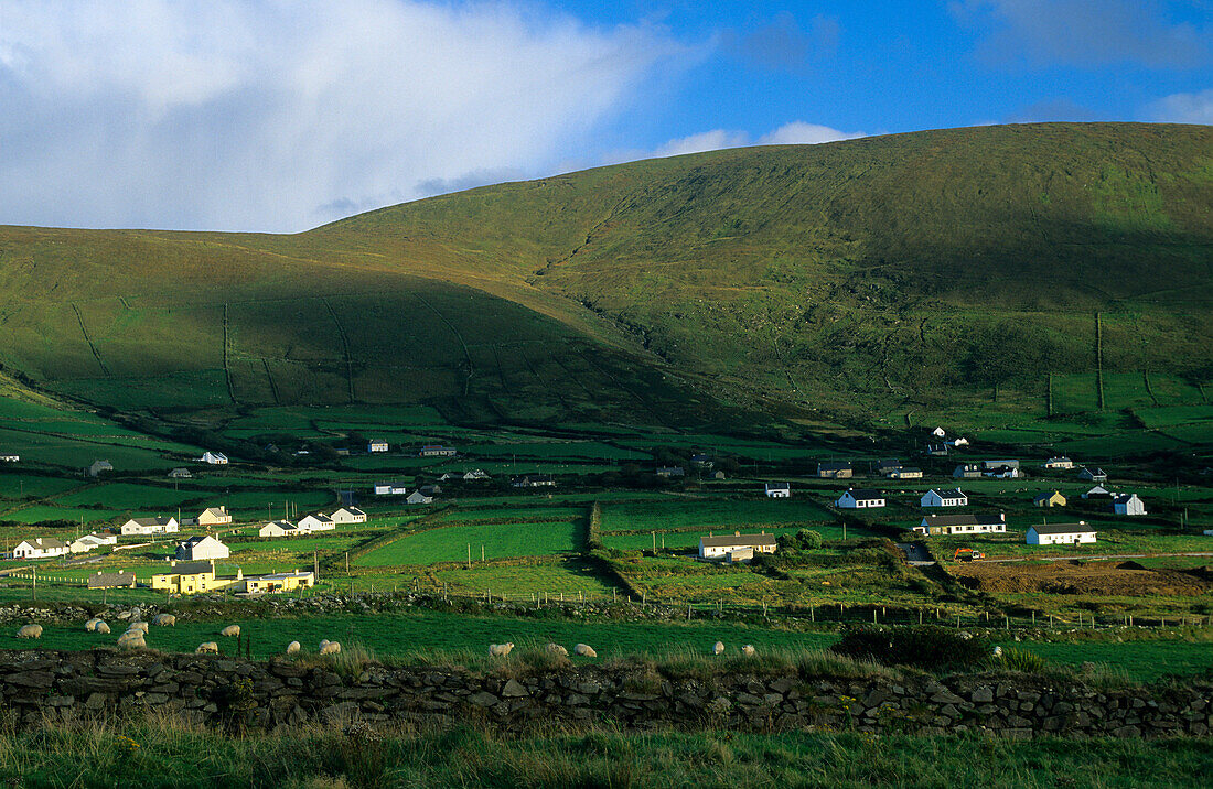 Dingle peninsula, coastal landscape, County Kerry, Ireland, Europe