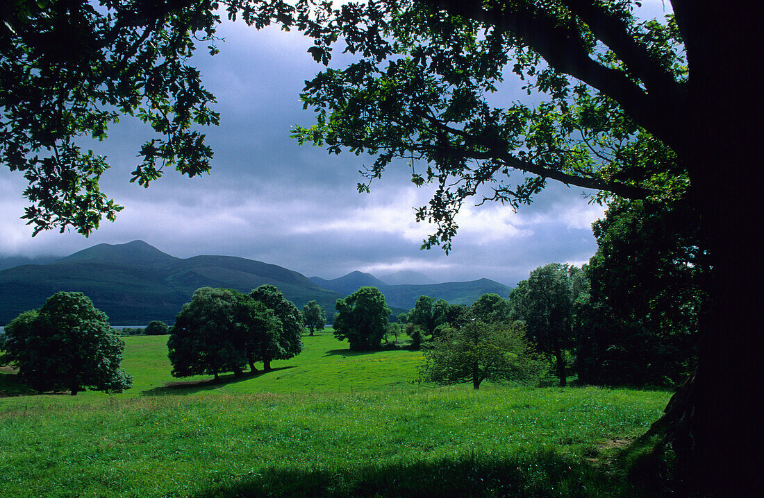 landscape near Killarney, County Kerry, Ireland, Europe