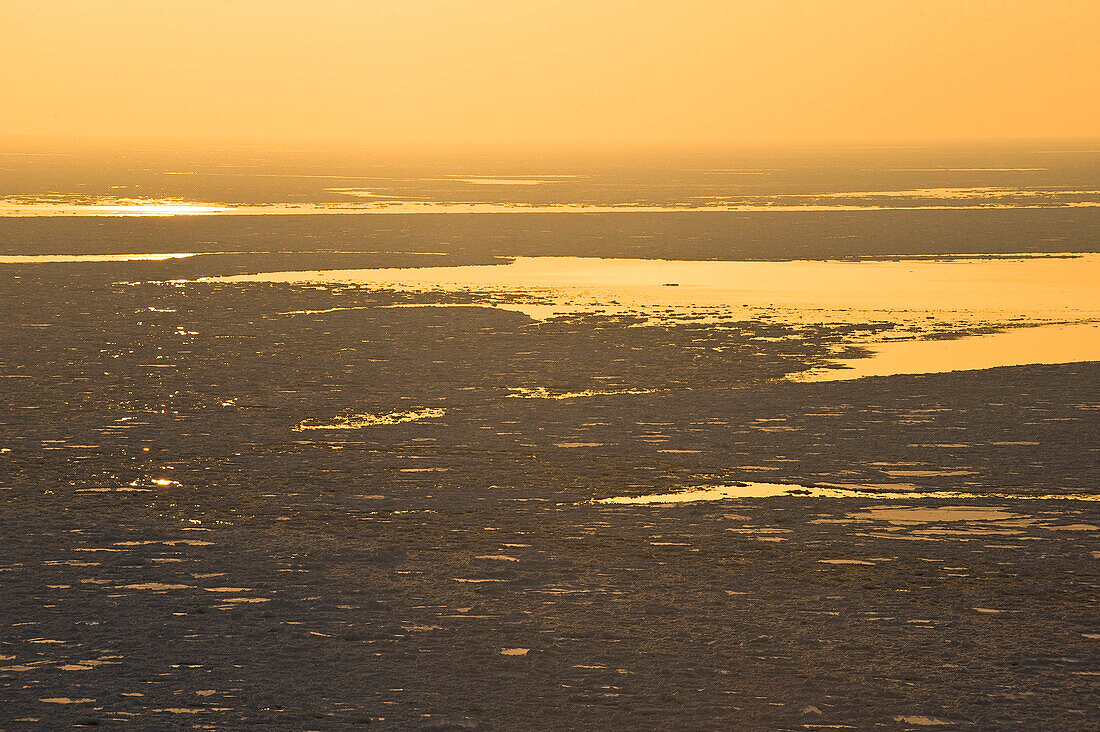 Ice floes on the pacific ocean at sunset, Hokkaido, Japan, Asia