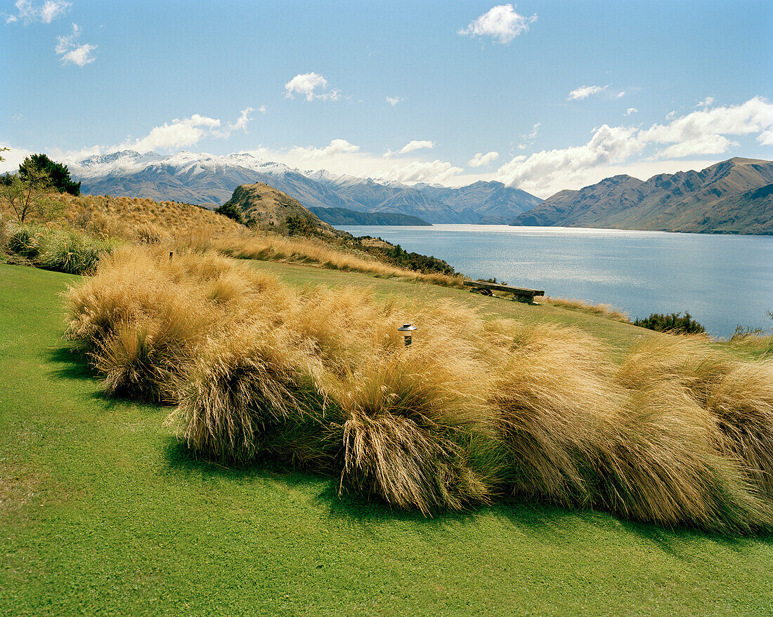 Blühendes Gras im Garten der Whare Kea Lodge am See Wanaka, Wanaka, Central Otago, Südinsel, Neuseeland