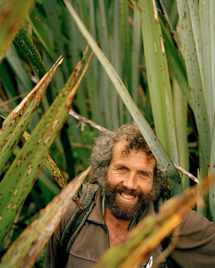 Trapper Bruce Reay amidst flax plants at Westland National Park. west coast, South Island, New Zealand