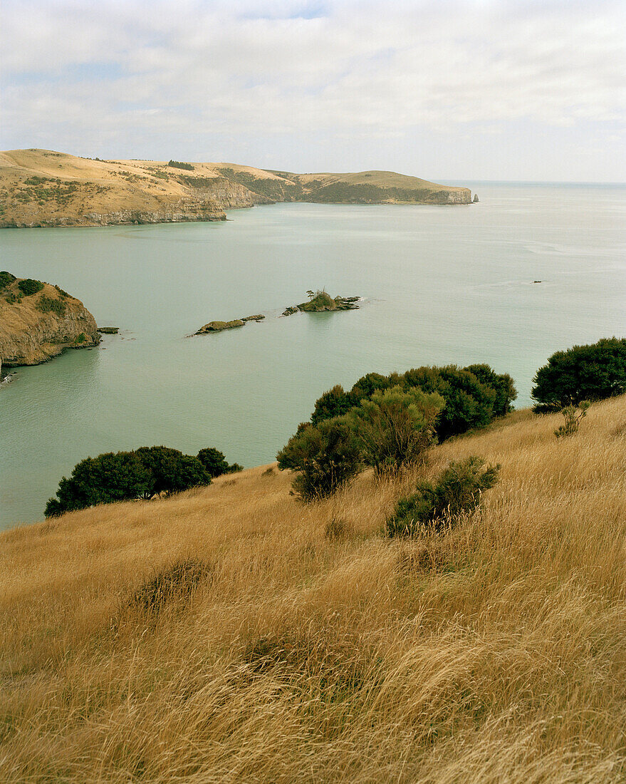 View at a little bay under clouded sky, Little Okains Bay, Banks Peninsula, South Island, New Zealand
