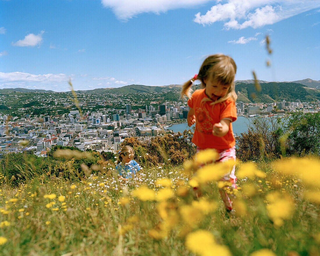 Kinder auf einer Blumenwiese auf Mt. Victoria, Blick auf Zentrum und Bucht Lambton Harbour, Wellington, Nordinsel, Neuseeland