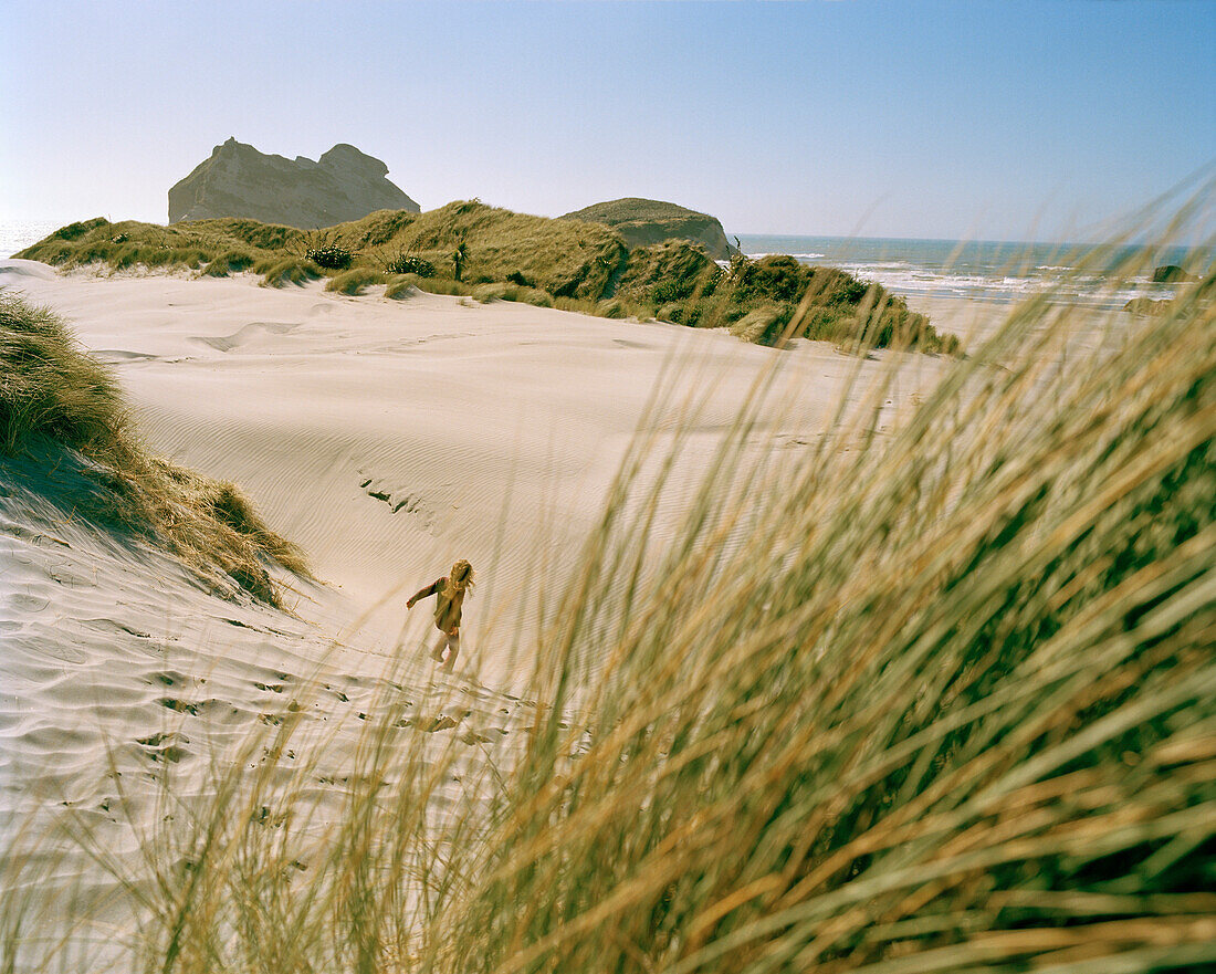 Child walking over wandering dunes at Wharariki beach, northwest coast, South Island, New Zealand