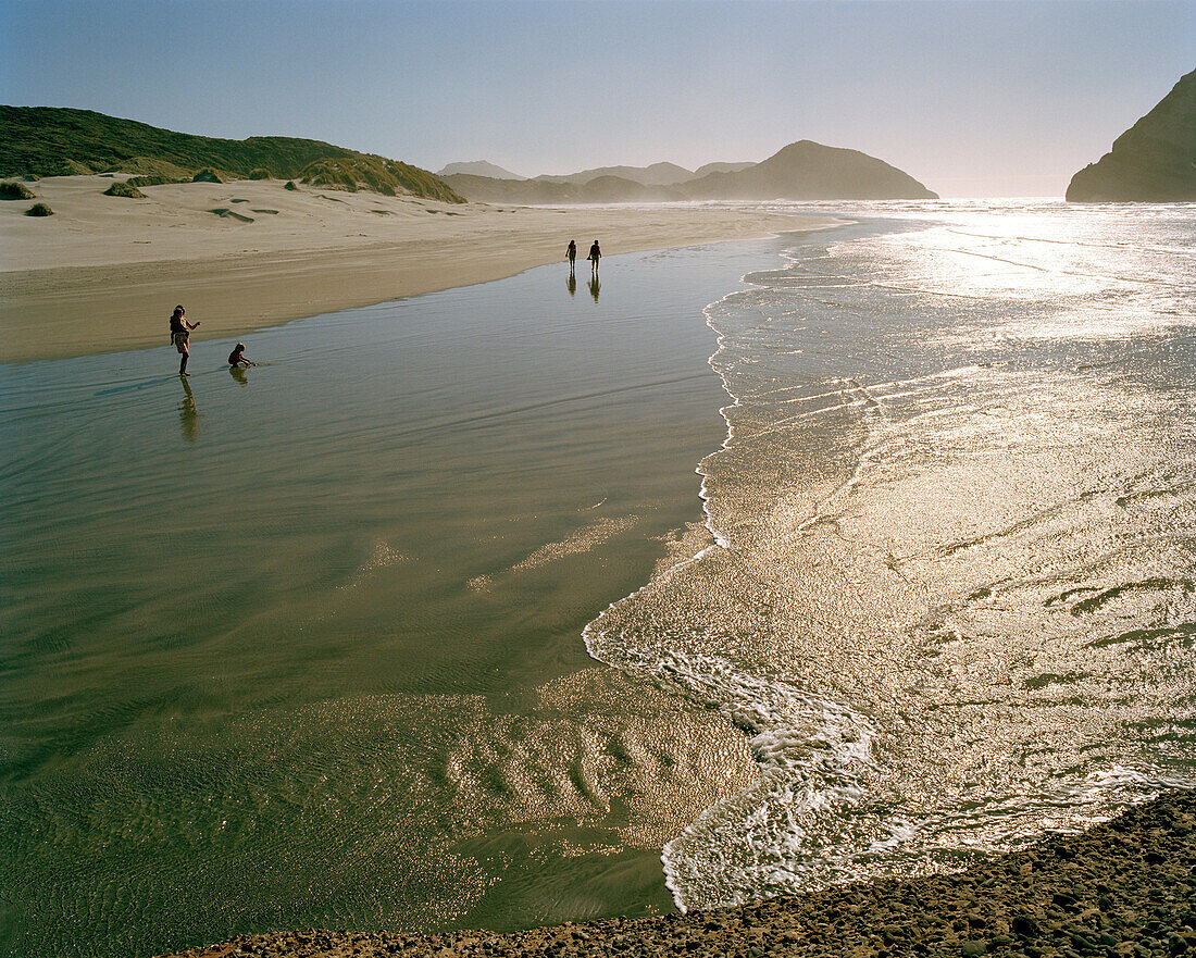 Menschen am Strand im seichten Wasser, Wharariki Beach, Nordwestküste, Südinsel, Neuseeland