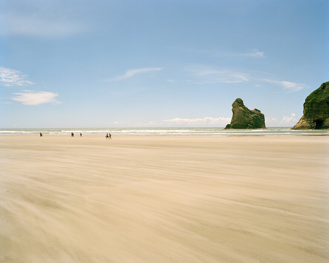 Sandy beach at lowtide in front of rock islands, Wharariki Beach, northwest coast, South Island, New Zealand