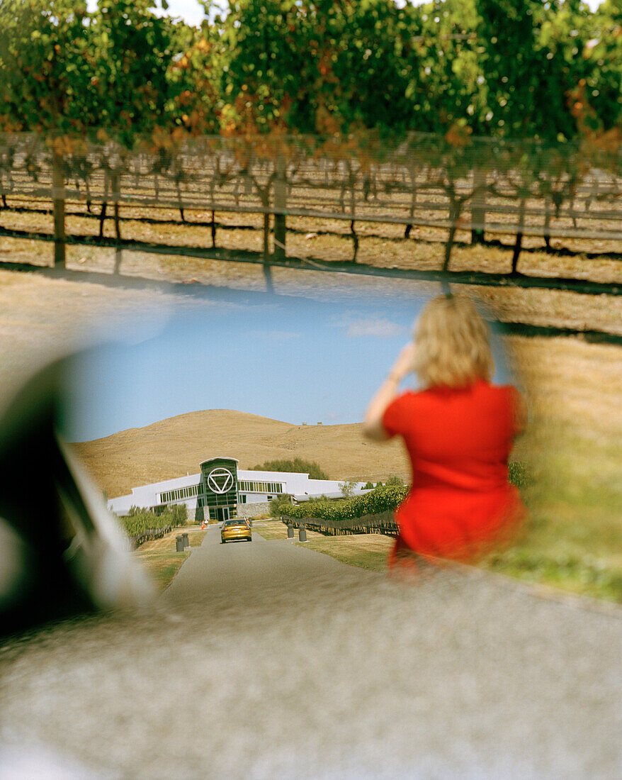 Weinreben und Spiegelung der Einfahrt des Sileni Estate Vineyard, Hawke´s Bay, Nordinsel, Neuseeland