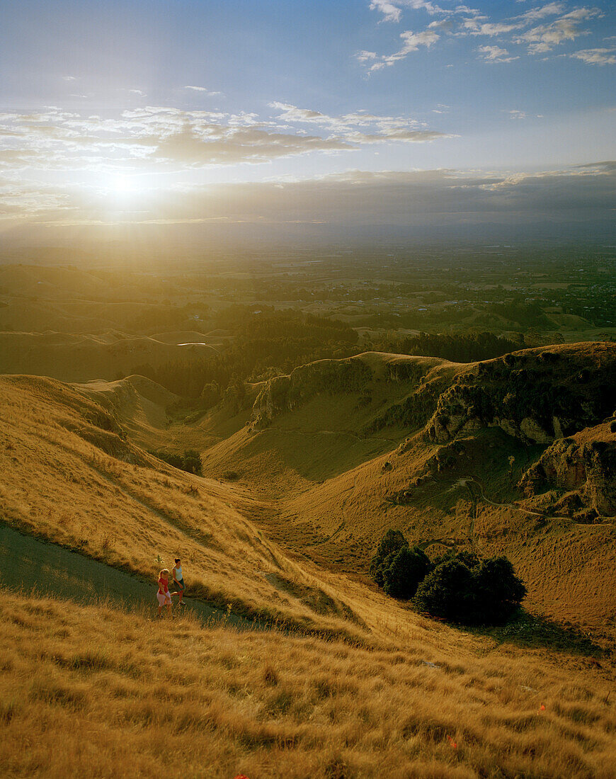 Joggers on a country road on Te Mata Peak at sunset, Hawke`s Bay, North Island, New Zealand