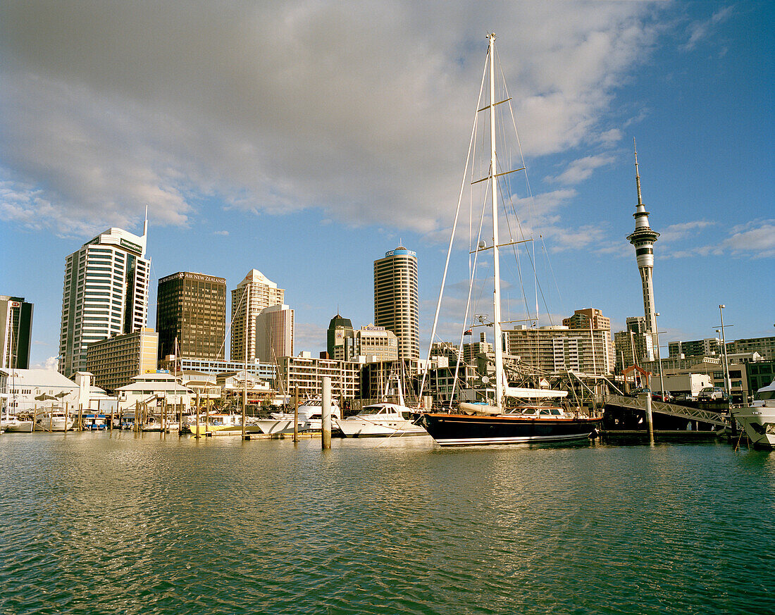Jachten und Segelboot im Viaduct Harbour vor Hochhäusern des Central Business District, Auckland, Nordinsel, Neuseeland